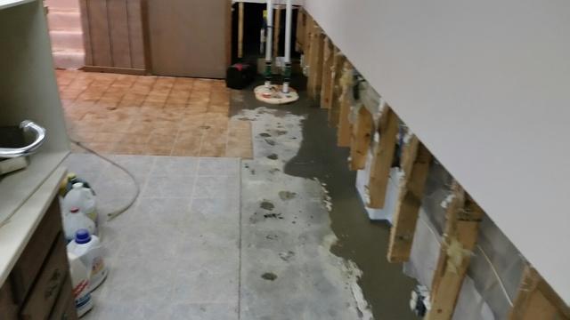 TripleSafe Sump Pump and WaterGuard