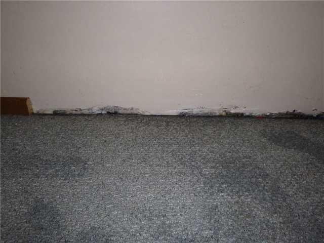 Water Damage at Base of Wall