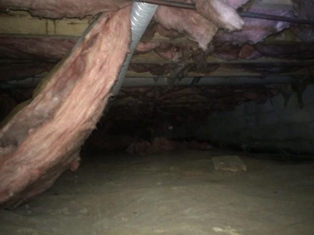 Fallen Insulation