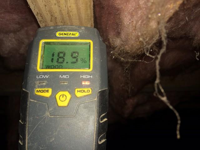 Moisture reading