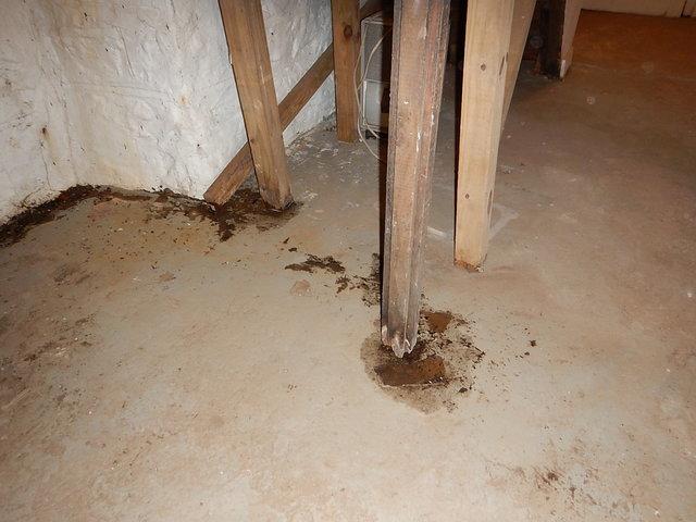 Before - Basement Transformation in Ridgefield, CT