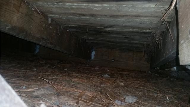 Little Support In the Crawl Space