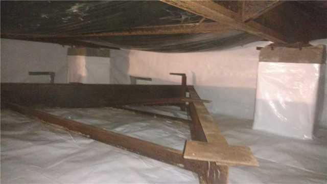 Crawlspace in Painter Virginia