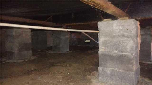 Crawlspace in Painter Virginia