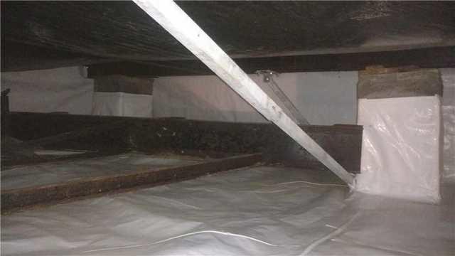 Crawlspace in Painter Virginia