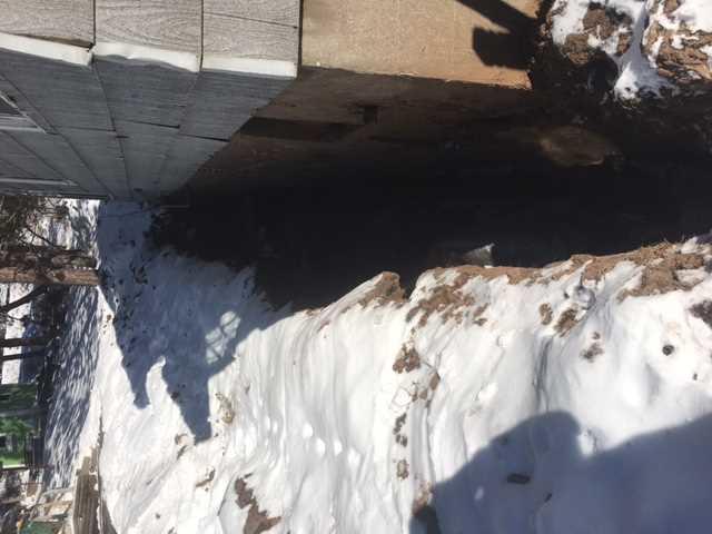 Partial Dig Up Along The Home