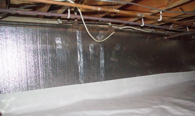 In Progress - What's Next?