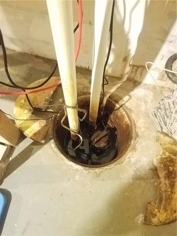 Old Sump Pump