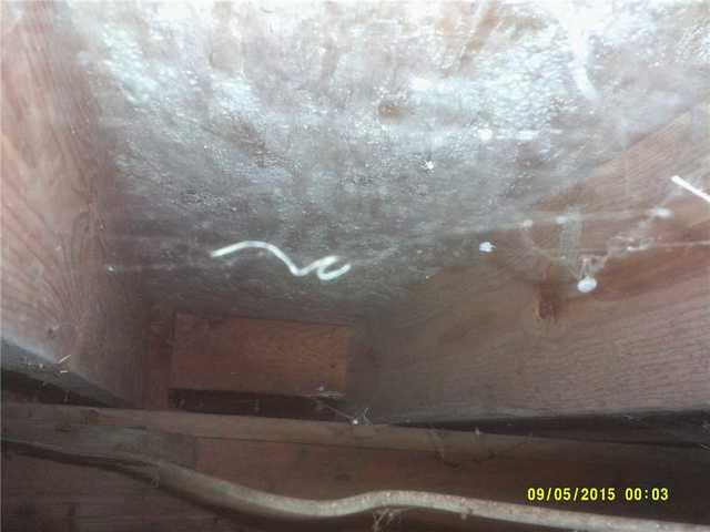 Crawl Space Riddled With Mold Covered Surfaces