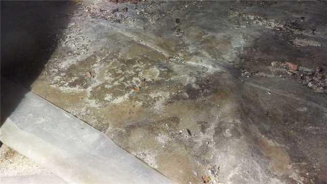 Mold and Debris on Plastic Liner