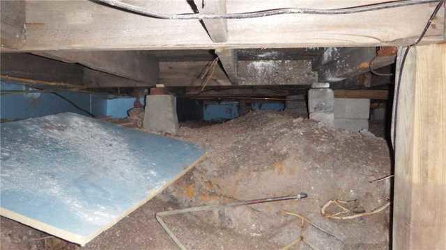 Moldy Crawl Space in Burt Lake