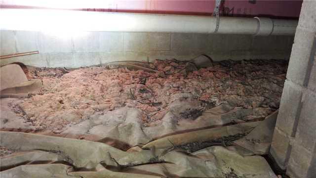 Crawl Space Covered in Fallen Insulation