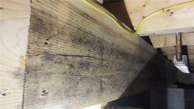 Mold Destroys Crawl Space Support Beam