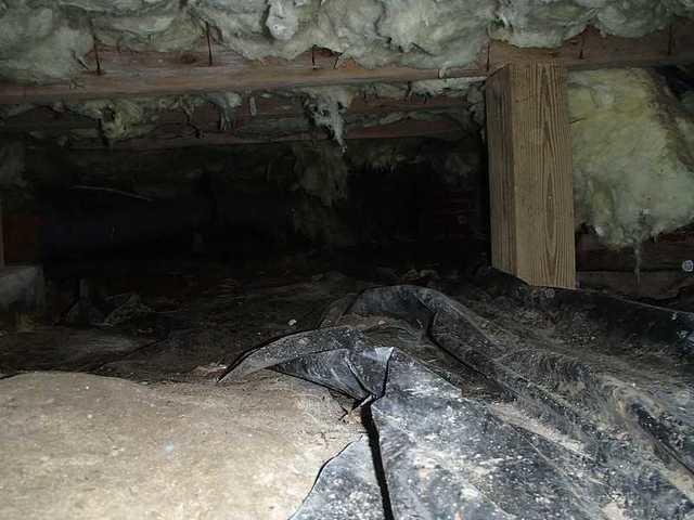 Nasty crawl space conditions