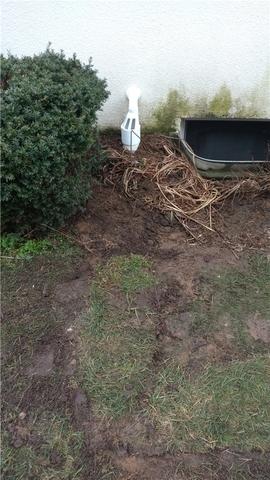 IceGuard Prevents Winter Water Backups