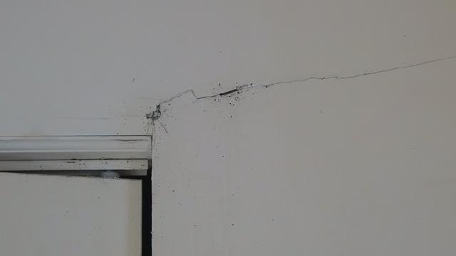 How To Remove Bed Bug Stains From Walls Mycoffeepot Org