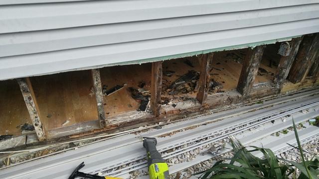 The sill plates were rotted and full of mold.