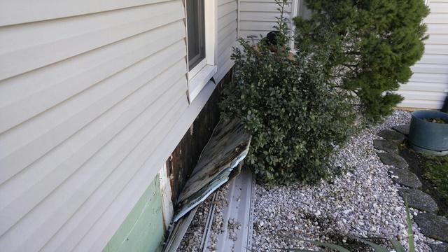 In order to access and replace the damaged sheathing and sill plates, we needed to remove the siding.