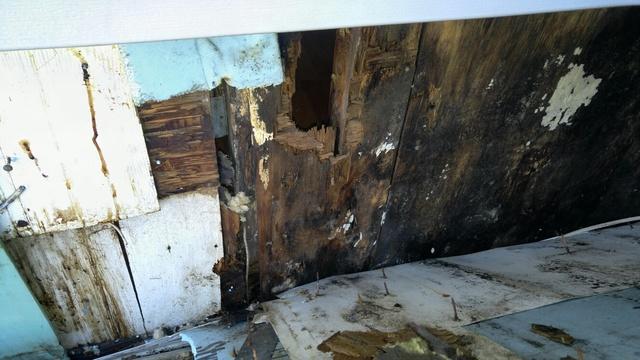 Unfortunately, the sheetrock was in bad shape and we needed to remove it in order to treat the mold.