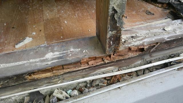 Rotten Wood After Water Damage