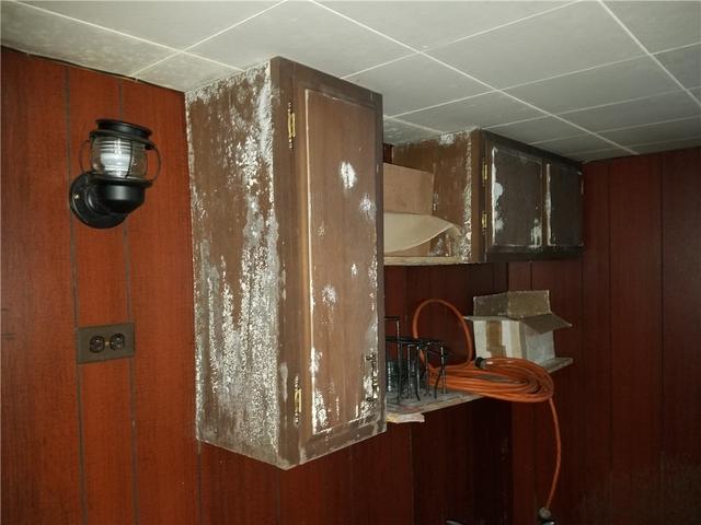 Mold on Wood in Basement