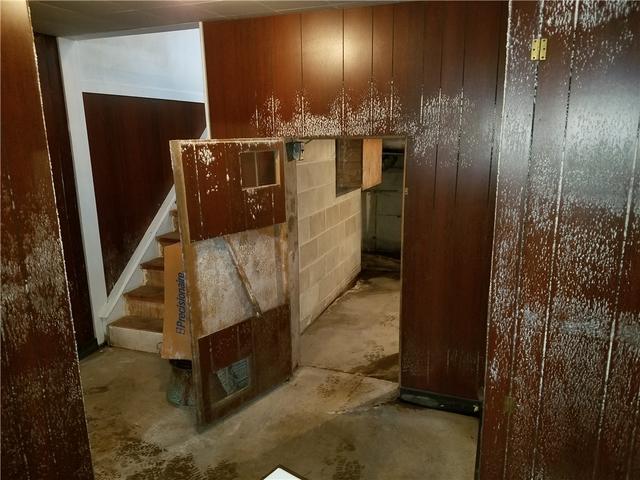 Mold Ruins Entertaining Space in Basement