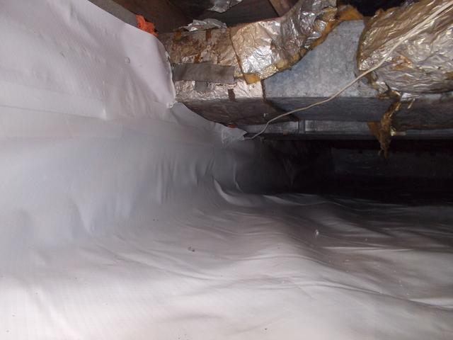 CleanSpace Installed in Clarksville