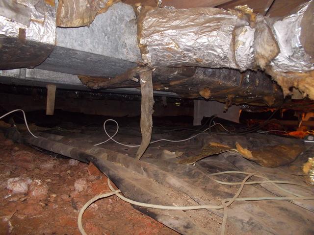 Nasty Crawl Space