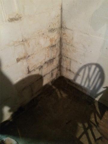 This corner of the basement shows the signs of water flowing down the basement walls. Many people try to waterproof their walls with a moisture blocking paint but it doesn't last forever. Eventually the paint blisters and fails.