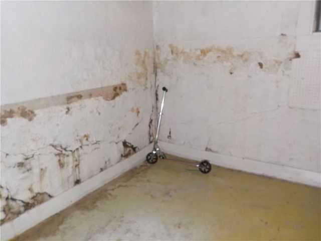 Cracks and Decay in Waterlogged Wall