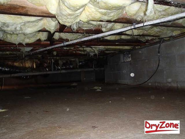 Wide spread damage in the crawl space