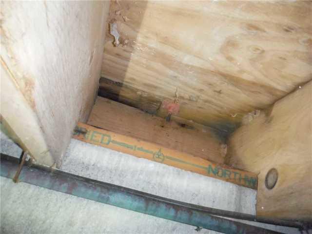 In several areas of the crawl space, mold was beginning to grow. It was not near as bad as some of the crawl spaces that we've seen but if there's some, it's only a matter of time unless the cause of the mold is addressed.