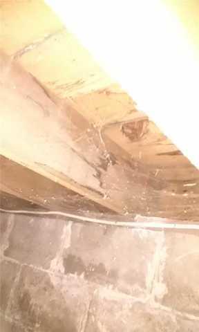 Moisture On Joists Spells Trouble