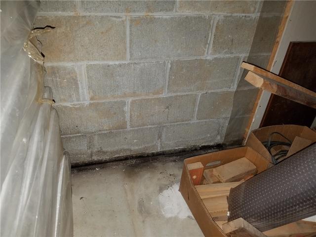 Extent of Water Issues in Wet Basement