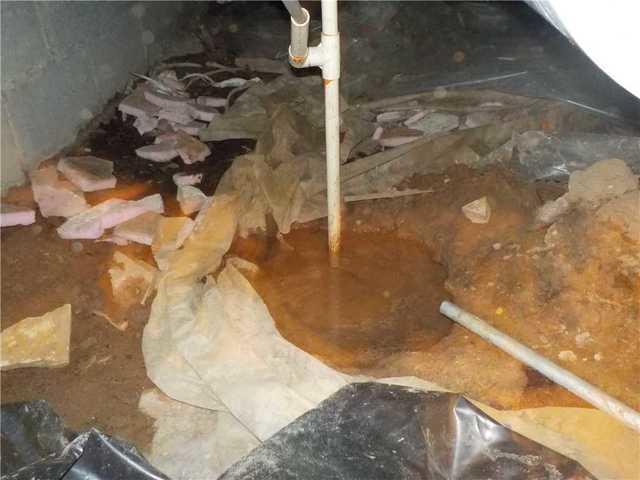 Standing Water in Crawl Space