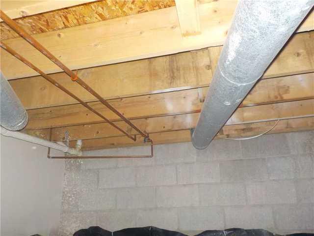Wide View of Mold on Support Beams