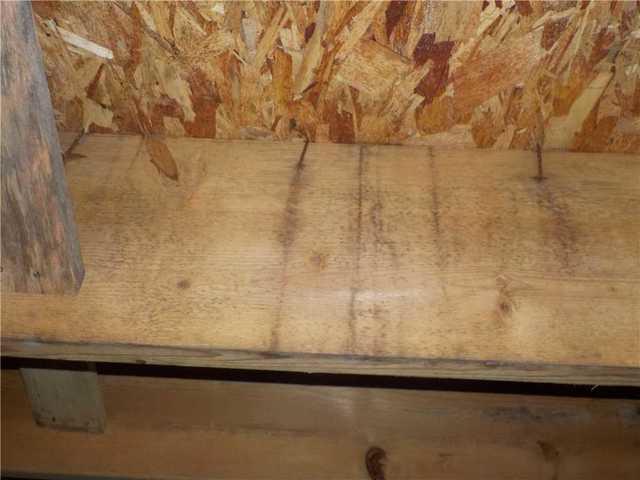 Not only is the main beam in focus riddled with mold (more on that in the next photo), but the perpendicular beam to the left is all but rotted through from being waterlogged. In time, this will affect the structural integrity and safety of the crawl space.