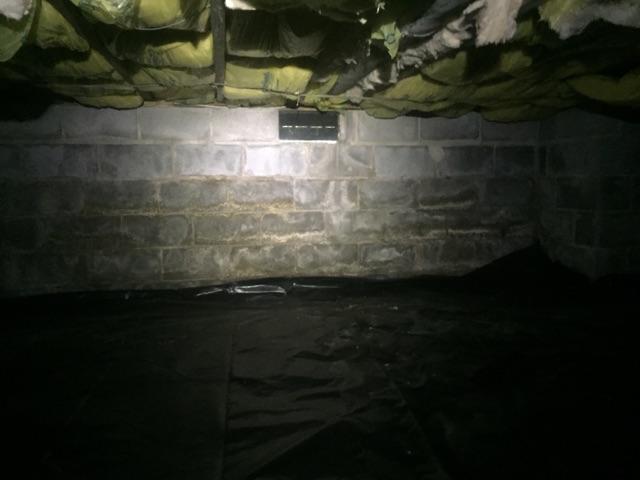 Before Crawl Space Repair Vapor Barrier & Insulation