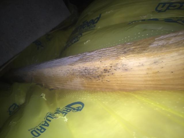 Before: Mold in Crawl Space