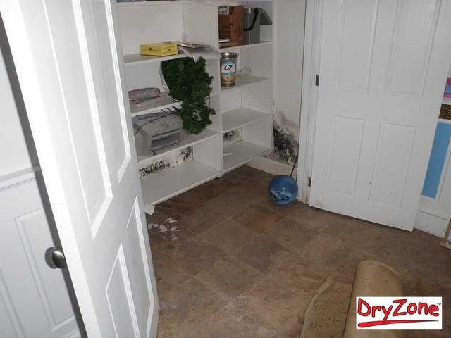 Moldy basement walls