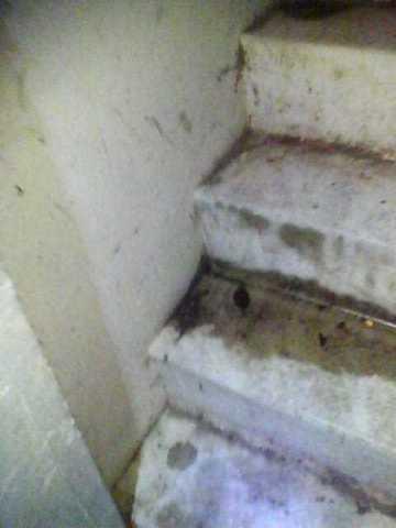 Consistent Moisture On Basement Stairs