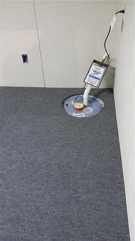 A sump pump might be common in a basement with water but once our WaterGuard System goes in and our Everlast wall panels cover the walls, there's no reason why you couldn't frame out that sump pump with our ThermalDry carpeting without any worries.