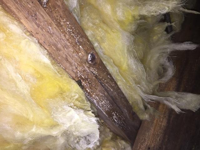 Providence Forge, VA Mold in Crawl Space