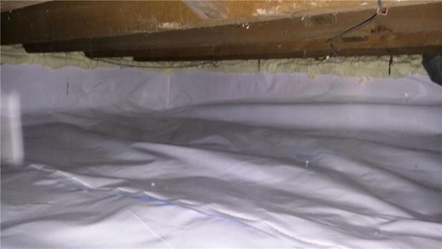 CleanSpace Covers The Walls And Floors