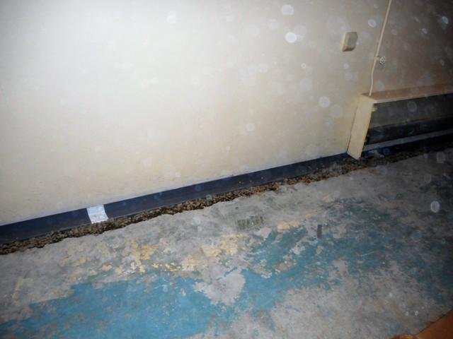 Waterguard System Install