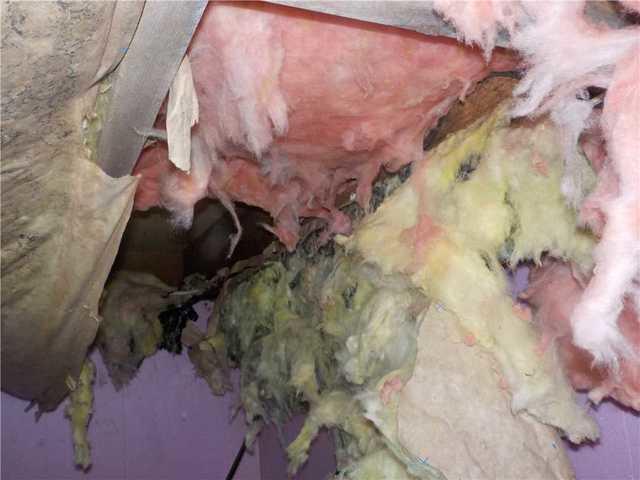 Wet, Moldy Insulation in Crawl Space