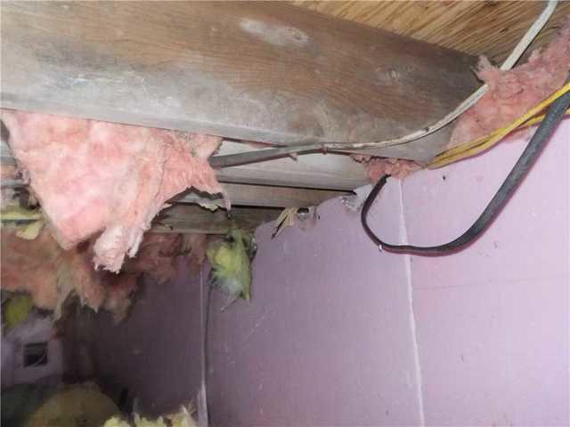 Mold-Riddled Beam in Crawl Space