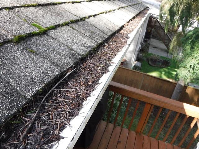 Leafless In Seattle Gutter Guards Photo Album Flat Gutter Guards Installed In Seattle Wa