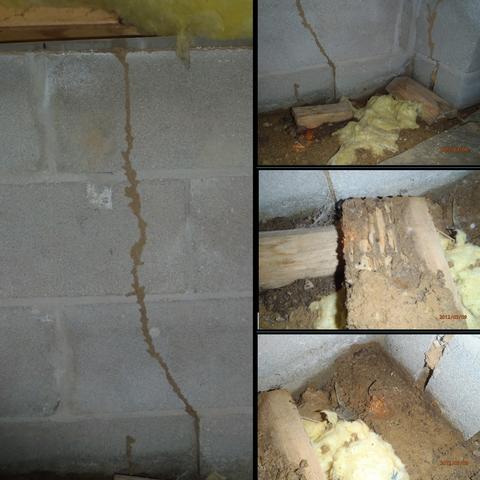 Vented Crawlspaces Promote Termites in Delaware