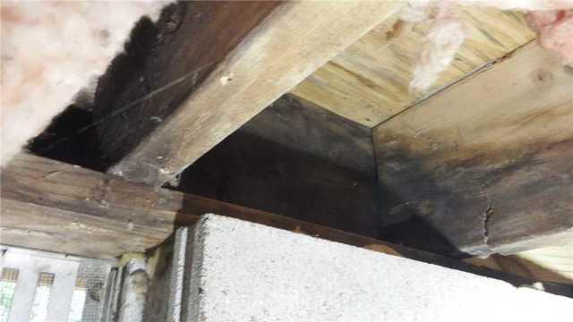 Wet, Moldy Crawl Space Beams